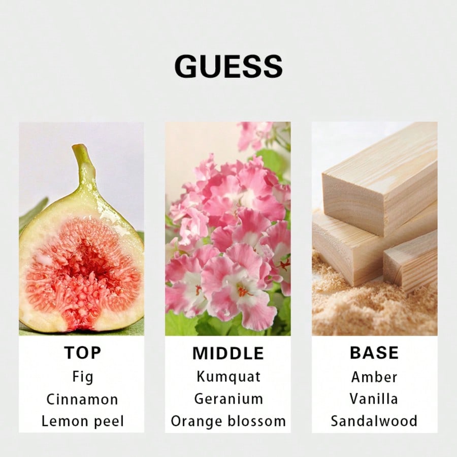 Guess Seductive Homme Redmen E - огляд і ціна Perfume Scent Fragrance